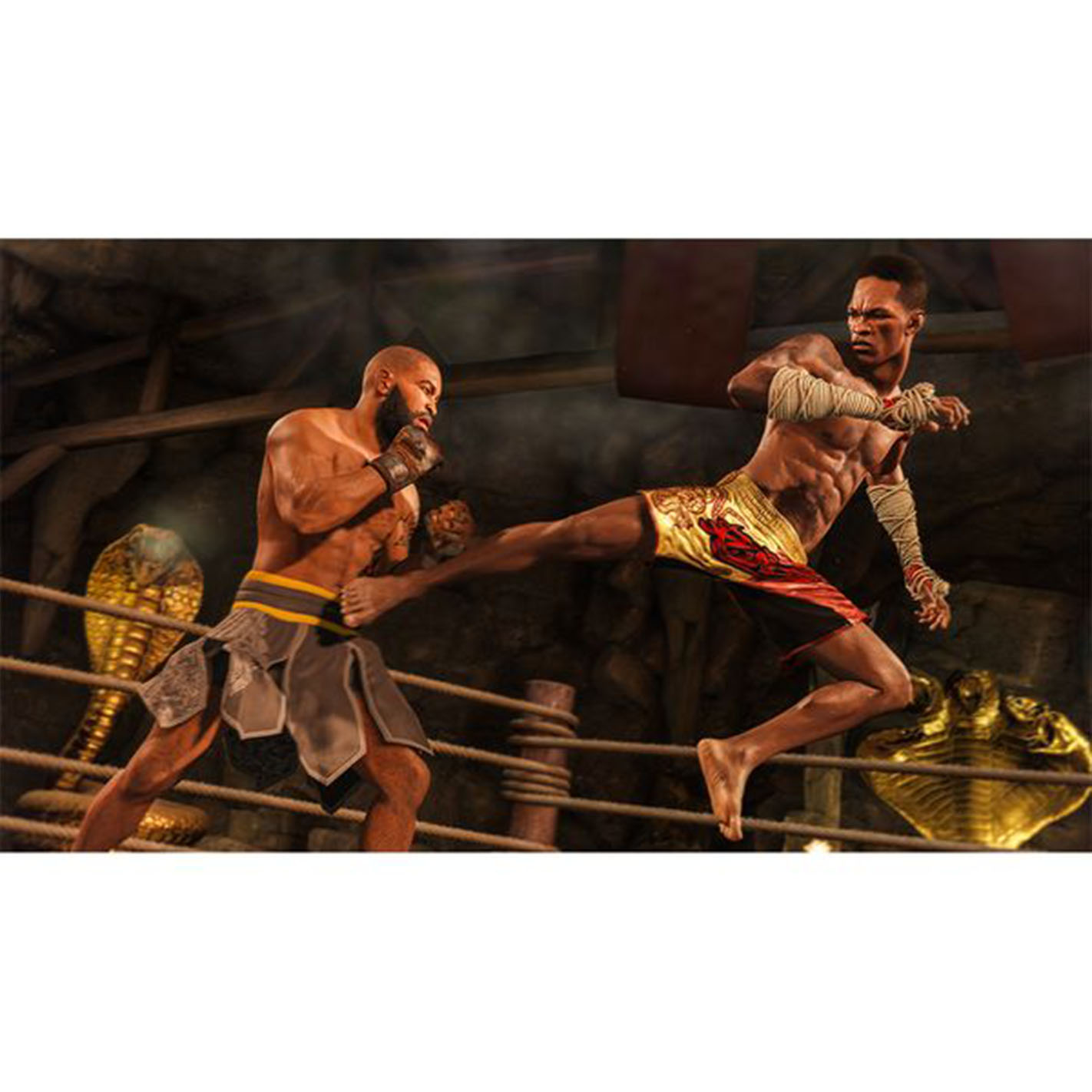 EA-Sports-UFC-4-PS4-Game-3