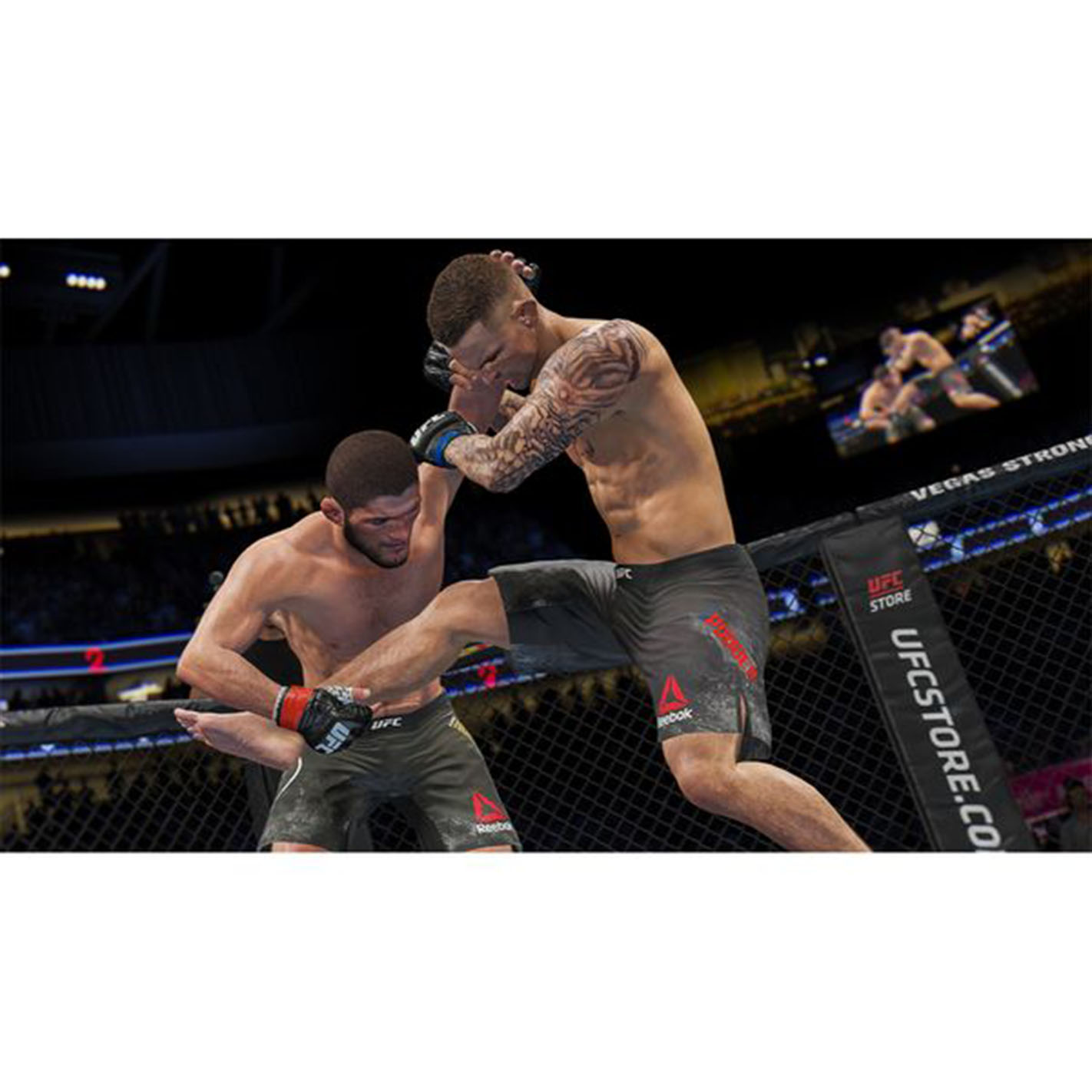 EA-Sports-UFC-4-PS4-Game-4